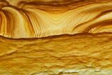 Polished Golden Picture Jasper Slab - Nevada #129717-1